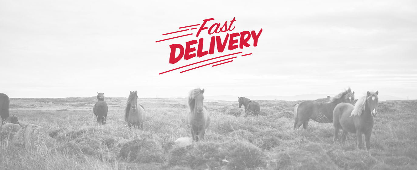 SZYBKA PRZESYŁKA TO NASZ KONIK!