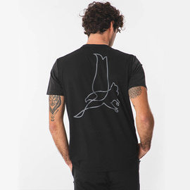 Picsil Core Eagle T-shirt