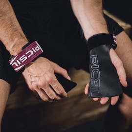 Picsil Golden Eagle Grips 