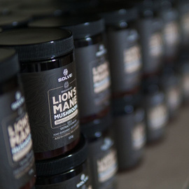 Solve Labs Lion's Mane 10:1 Powder 50 g