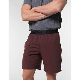 Men's Shorts Nike Pro Flex Vent Max