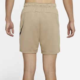 Nike Energy Men's Shorts 