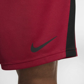 Men's Training Shorts Nike Dri-FIT