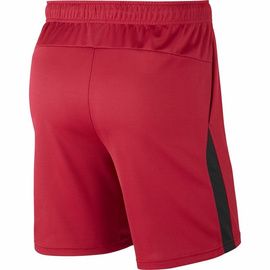 Spodenki męskie Nike Dri-FIT