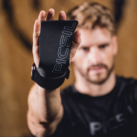 Picsil Golden Eagle Grips 