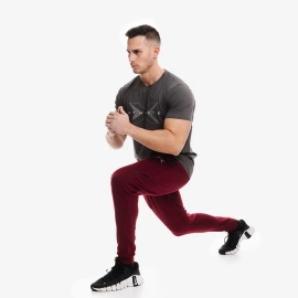 Picsil Core Eagle T-shirt