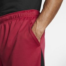 Men's Training Shorts Nike Dri-FIT