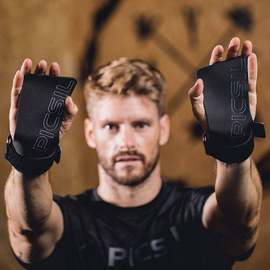 Picsil Golden Eagle Grips 