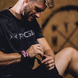 Picsil Golden Eagle Grips 