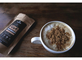 Suplementacja Solve Labs Lion's Mane 10:1 Powder 50 g