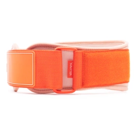 Velites Lifting Belt