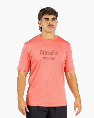 Koszulka Velites CrossFit® T-Shirt Holo Różowy